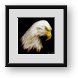 Buy Framed Print