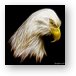 Bald Eagle Fractal Metal Print
