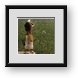 Buy Framed Print