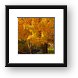 Fall colors Framed Print