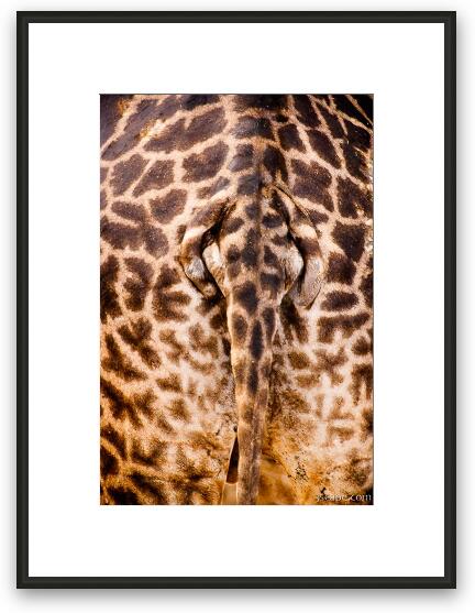 Giraffe Butt Framed Fine Art Print