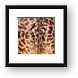 Giraffe Butt Framed Print