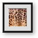 Buy Framed Print