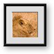 Buy Framed Print