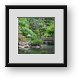 Buy Framed Print