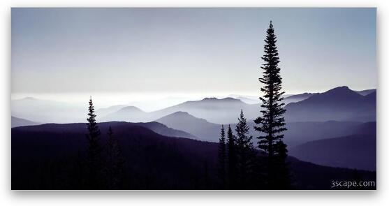 Colorado Mountain Mist Fine Art Metal Print