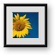 Buy Framed Print