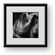 Buy Framed Print