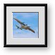 Buy Framed Print