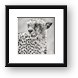 Cheetah Black and White Framed Print