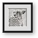 Buy Framed Print
