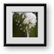 Buy Framed Print