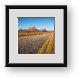 Buy Framed Print
