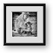 Buy Framed Print