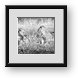 Buy Framed Print