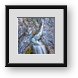 Buy Framed Print