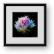 Buy Framed Print