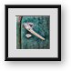 Buy Framed Print