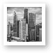 Streeterville From Above Black and White Art Print