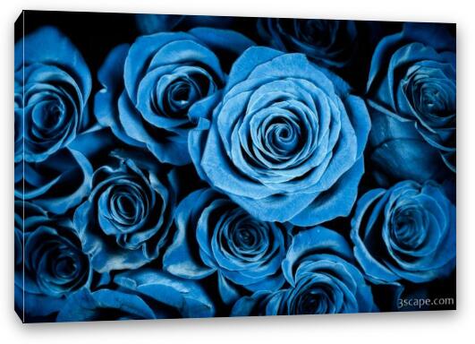 Moody Blue Rose Bouquet Fine Art Canvas Print