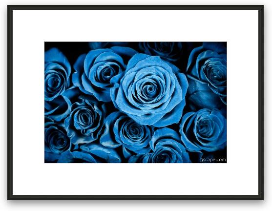 Moody Blue Rose Bouquet Framed Fine Art Print