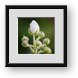 Buy Framed Print