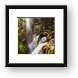 Sol Duc Falls Framed Print