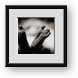 Buy Framed Print