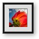 Buy Framed Print