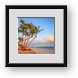 Buy Framed Print