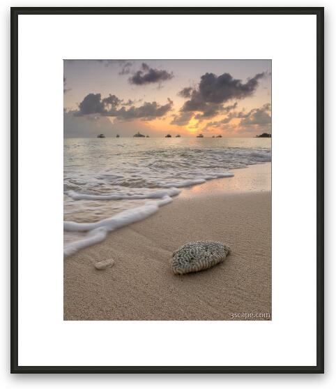 Grand Cayman Beach Coral at Sunset Framed Fine Art Print
