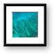 Cayman Reef Aerial Framed Print
