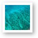 Cayman Reef Aerial Art Print