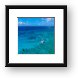 Grand Cayman Catamaran Framed Print