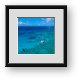 Buy Framed Print