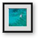Buy Framed Print