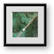 Buy Framed Print