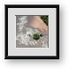 Buy Framed Print