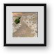 Buy Framed Print
