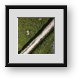 Buy Framed Print