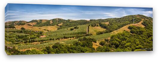 Napa Valley California Panoramic Fine Art Canvas Print