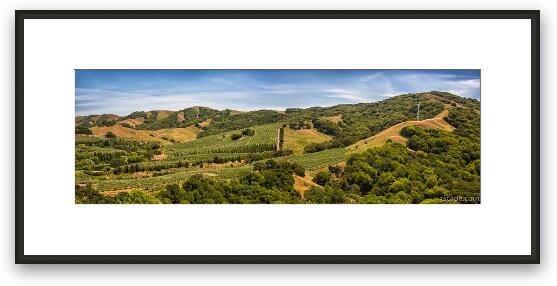 Napa Valley California Panoramic Framed Fine Art Print