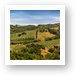 Napa Valley California Panoramic Art Print