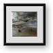 Buy Framed Print