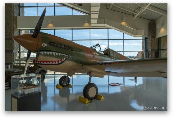 Curtiss P-40 Warhawk Fine Art Metal Print