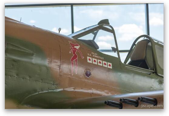 Curtiss P-40 Warhawk nose art Fine Art Metal Print