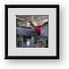 Buy Framed Print