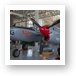 Lockheed P-38L Lightning Art Print