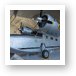 Grumman JRF-5 (G-21) Goose Art Print