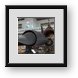 Buy Framed Print